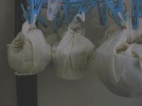 121201_01.jpeg